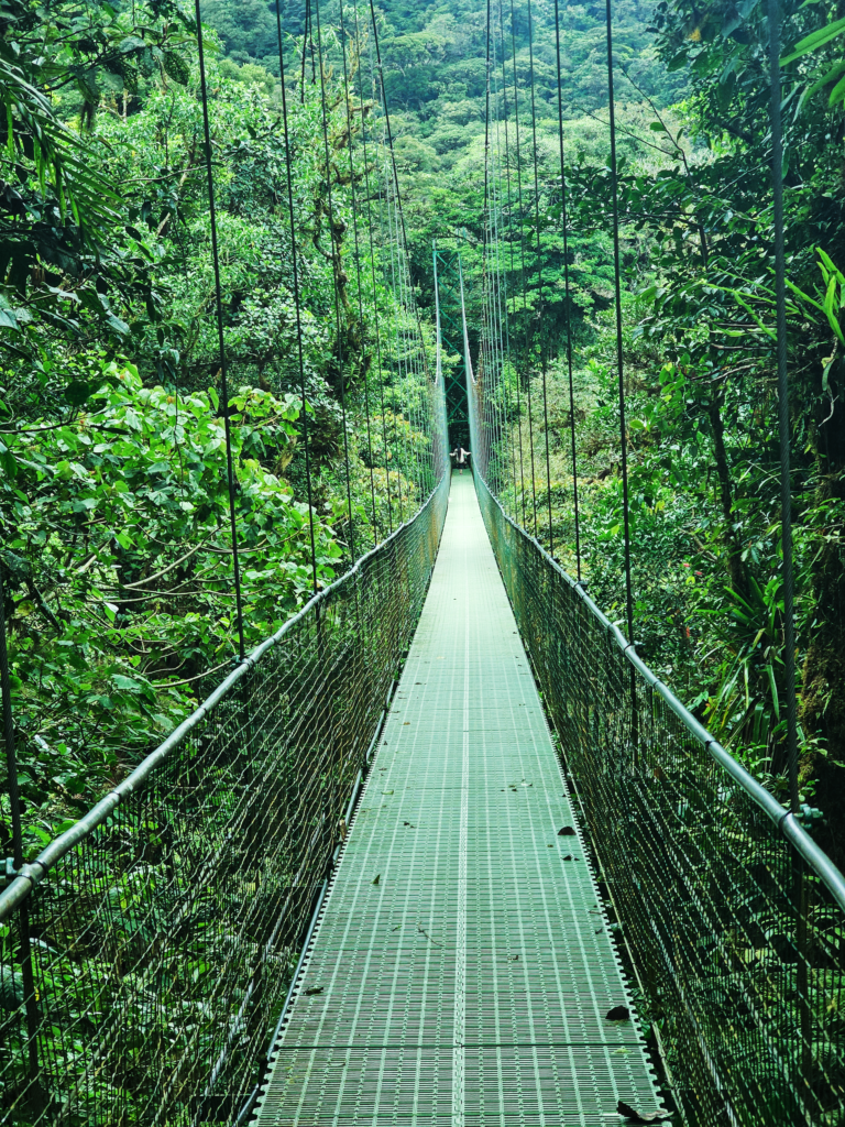 Puentes colgantes de Monteverde, Costa Rica.